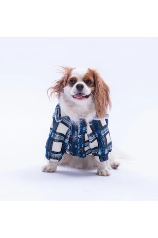 Pawstar Mavi Chicago Checks Küçük Irk Köpek Pofuduk Ceket