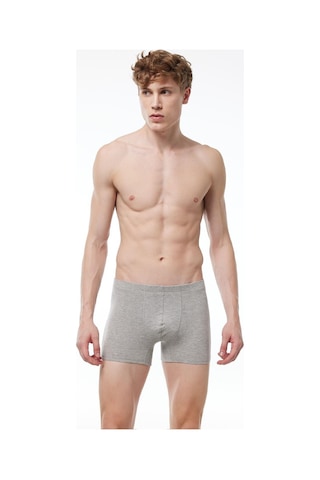 Malabadi 058 Erkek Modal Likralı Boxer-Gri