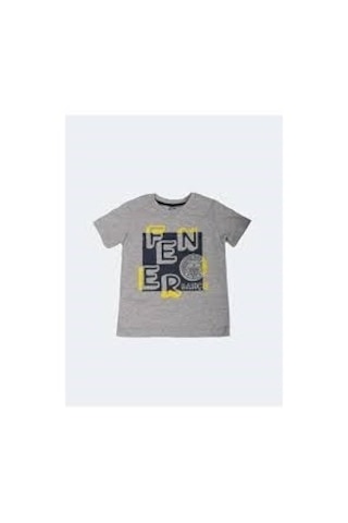 Fenerbahçe Lisanslı Çocuk Tribun Fb Logo Gri T-shirt Gri Fenerbahçe Lisanslı Çocuk Tribun Fb Logo Gri T-shirt Gri