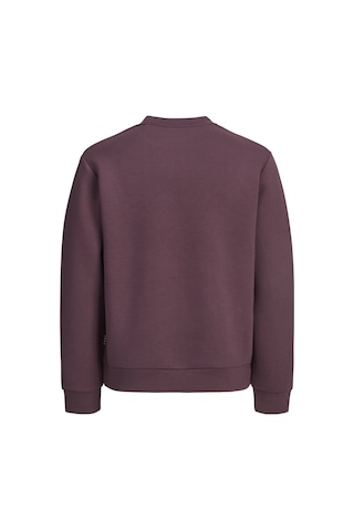 Jack & Jones Jcofusıon Scuba Sweat Crew Neck Sn Bordo