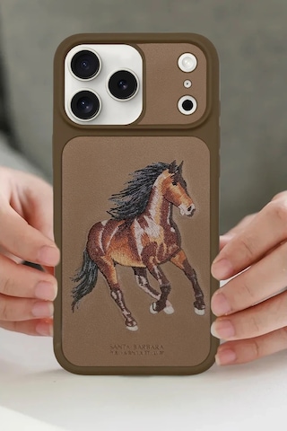 Santa Barbara Polo Racquet Club Apple Uyumlu iPhone 17 Pro Kılıf 3boyutlu Pu Deri Boris İçi Süet Kapak Titan Gri