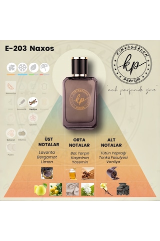 KP E-203 Erkek Parfüm EDP 50 ML