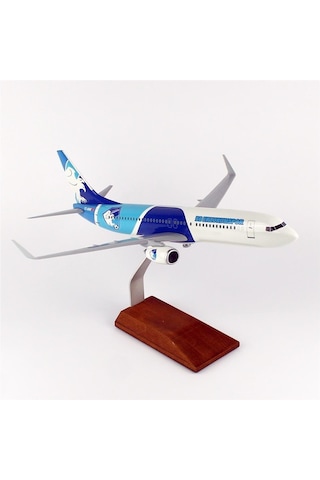 Thy050 1/100 Ölçek, Thy Erzurum Spor Logolu B737-800 Yolcu Uçağı, Sergilemeye Hazır Ahşap Standlı Model-56299