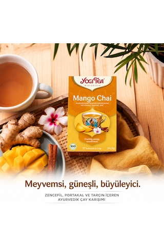Organic Mango Chai 17 Süzen Poşet Organik Baharatlı Meyve Çayı