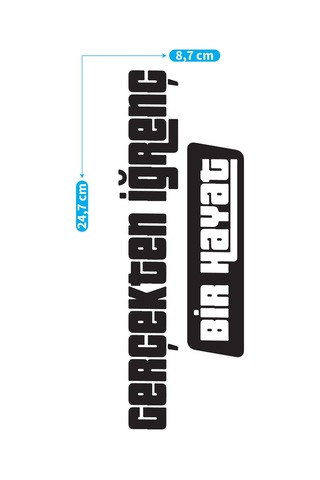 Gerçekten İğrenç Bir Hayat Araç Sticker 21x29 Cm, Oto Sticker, Araba Sticker