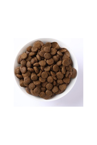 Pumpkin Kuru Köpek Maması, Tahılsız, Yaban Domuzu Ve Elmalı, Yetişkin Mini, 7 Kg