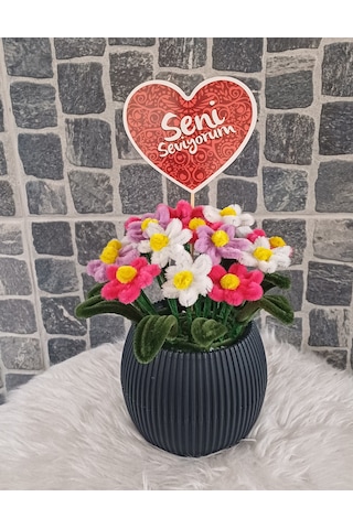 Saksılı Masa Çiçeği Renkli Papatya Buketi Geçmiş Olsun Çiçeği, Yeni İşin Hayırlı Olsun Çiçeği.. Çok Renkli