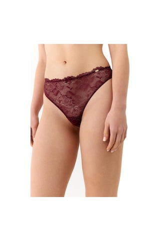 Amarelle Roma Bordo Dantelli String Külot