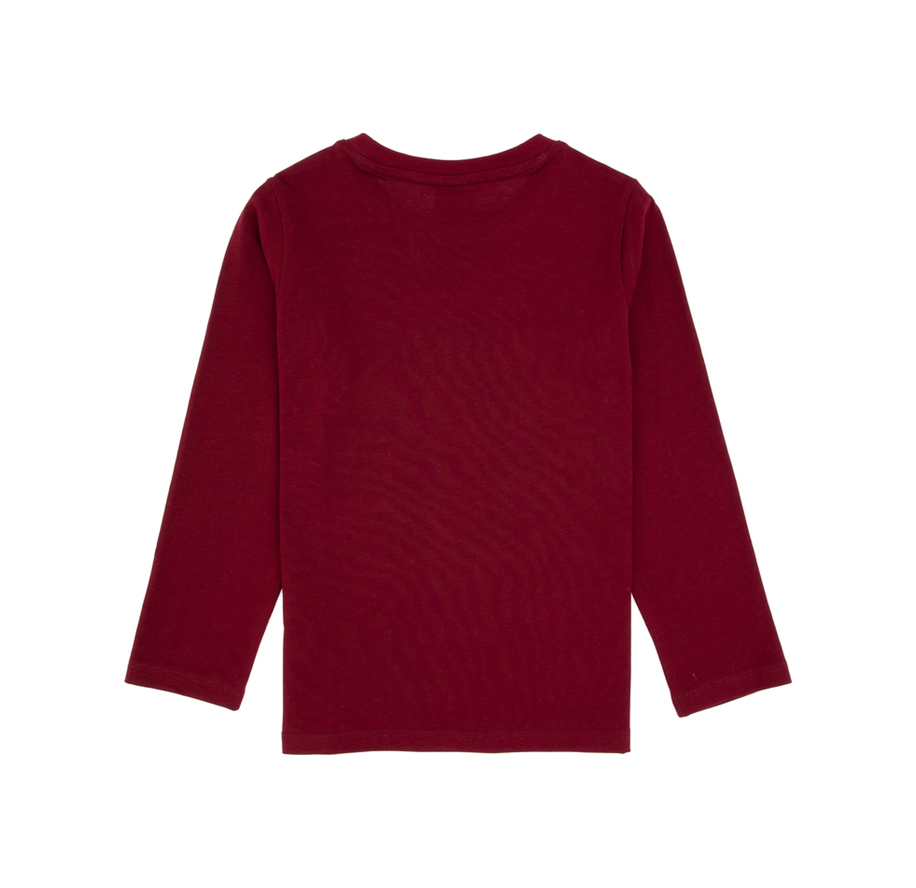 U.s. Polo Assn. Erkek Çocuk Bordo Sweatshirt 50316595-vr014 Bordo