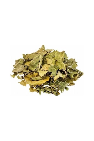 Derya Eren Dut Yaprağı Beyaz Dut Morus Alba 250 G