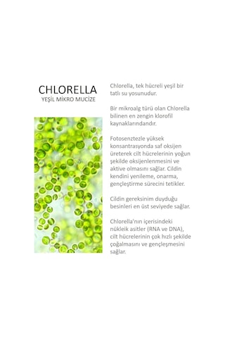 Jomtam Chlorella Mikroalgli Oksijen Göz Bakım Kremi 10 G