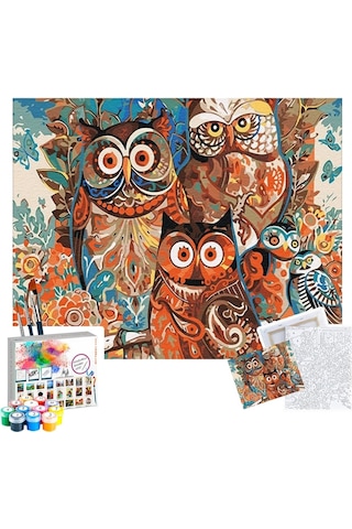Sayılarla Boyama Seti 40 X 50 Cm Tuval Şasesine Gerili Baykuşlar