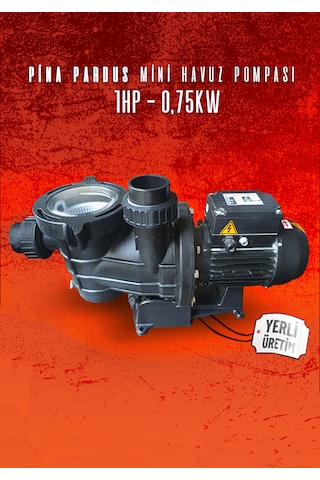 Pina Önfiltreli Havuz Pompası 100m 50mm 220v