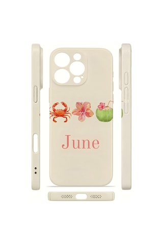 Apple iPhone Uyumlu 16 Pro Vorian İnce Kamera Korumalı Mika Kılıf June Seaside June Seaside Mika