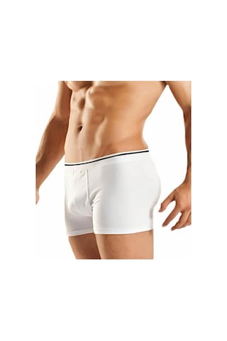 Berrak 1097 Erkek Likralı Esnek Boxer 2 Adet 001