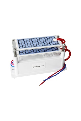 Taşınabilir Seramik Ozon Jeneratörü İki Yapraklı Hava Temizleme Cihazı Sterilizasyon Aktif Oksijen Arıtma Cihazı 220v 10g