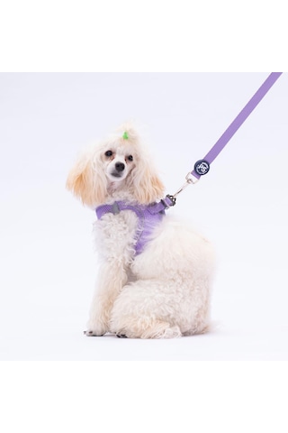 Pawstar Lila Leash Kedi Köpek Sevk & Gezdirme Kayışı Köpek Uzatma Tasması Lila