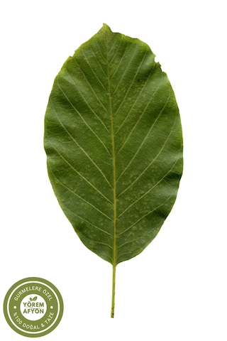 Yörem Afyon Meşhur Tokat Yeni Mahsul Dalında Kurutulmuş Ceviz Yaprağı Juglans Regia 30gr.