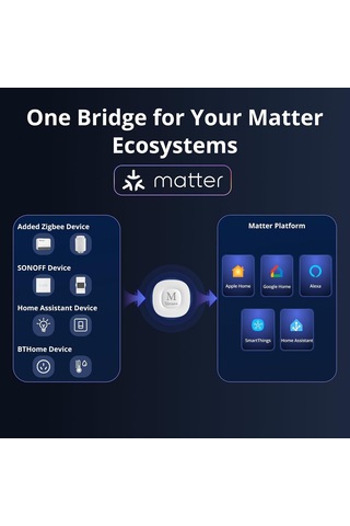 Zigbee Bridge Max Matter Destekli Bridge-m Genel