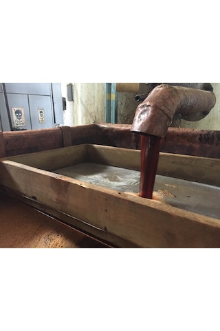 Çam Kabuğu Ekstresi (Sıvı) 200 ML