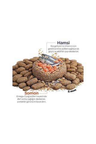 Obivan Somonlu Ve Hamsili Yetişkin Kedi Maması 2 Kg