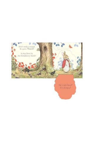 Where İs Peter Rabbit : Lift The Flap Book