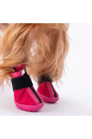 Pawstar Fuşya Köpek Ayakkabısı