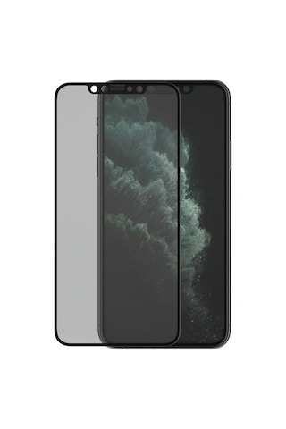 Panzerglass Apple iPhone Uyumlu Xs Max/11 Pro Max Case Friendly Privacy