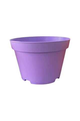 Katı Plastik Sukulent Saksısı 20 Adet Açık Mor 8.5 Cm