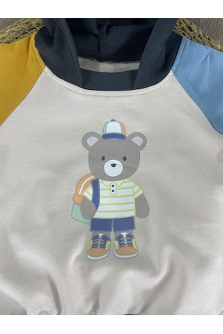 Teddy Ayıcık Baskılı Kapüşonlu Renkli Kol Detaylı Erkek Bebek Takım Koyu Füme