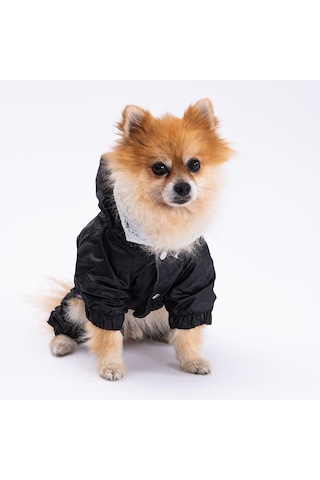 Pettrend Siyah Kürklü Tulum Küçük Irk Köpek Yağmurluğu