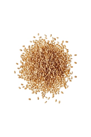 5 Kg Yemlik Buğday / Kuş Tavuk Kaz Ördek Yemi, %100 Doğal