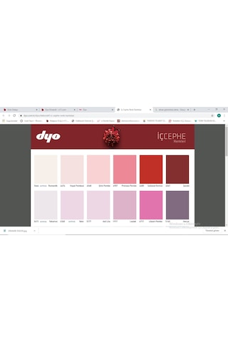 Dyo Dinamik Silikonlu Silinebilir Ipek Mat Iç Cephe Boyas 2,5 Lt