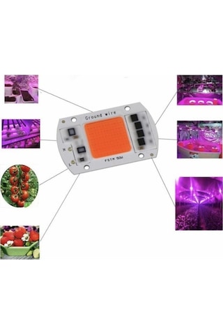 220V 50W Grow Led Full Spectrum Cob Led (Bitki Yetiştirme Ledi)