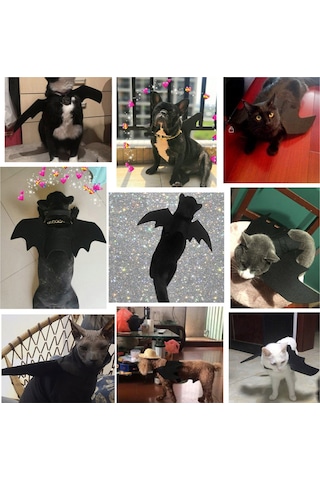 Vkemall Kedi Yarası Kanatlı Kostümü - Siyah L Beden - Felt Malzeme - Halloween, Parti Ve Fotoğraf Çekimleri İçin