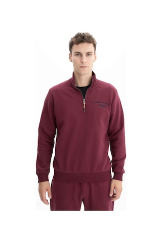 Arma Erkek Büyük Beden Yarım Fermuar Dik Yaka Sweatshirt 001