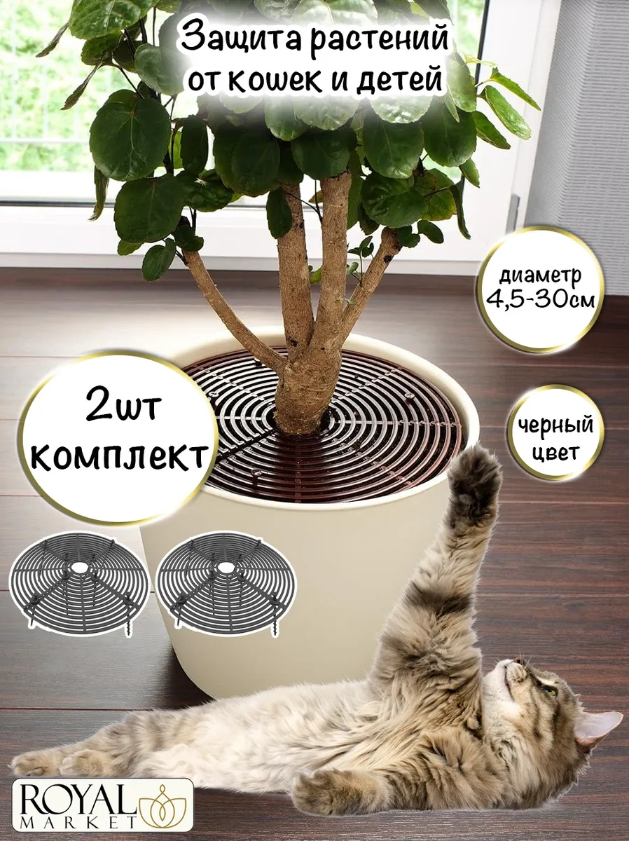 Royal Market Bitki Koruma 321194434