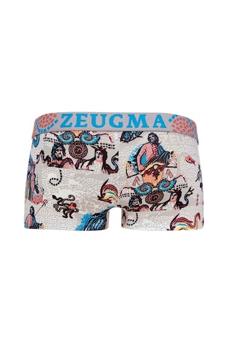 Doreanse Erkek Modal Baskılı Torbalı Renkli Mini Paça Boxer 1701 (543079469)