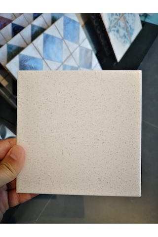 V&b 15x15 Colorvision Terrazzo Beyaz Mat Yer Duvar Seramiği