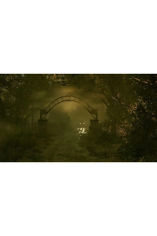 Alone İn The Dark PS5 Oyun