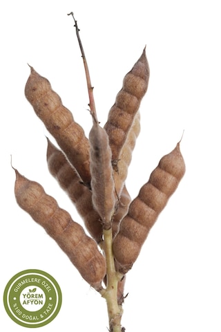 Yörem Afyon Meşhur Balıkesir Yöresinden Acı Bakla, Termiye, Yahudi Baklası Lupinus 900gr.