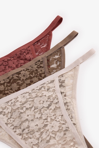 Penti Leaf Tones 3lü Lace Brazilian Külot Çok Renkli