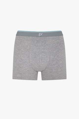 Penti Erkek Renkli Soft Grid Çoklu Boxer