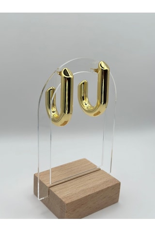 Arnes Jewelry Çelik Gold Küpe Ar337nes Gold