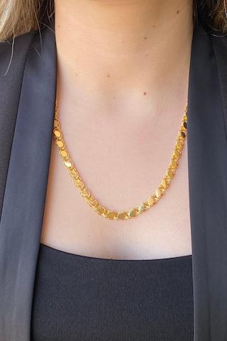 14 Ayar Altın 5.5 Mm Pullu Zincir Kolye