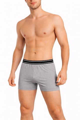 Maxi-dry Erkek Boxer Aşırı Terleme Önleyici Çift Katmanlı, Islaklık Sızdırmaz, Nefes Alabilen Iç Giyim Gri