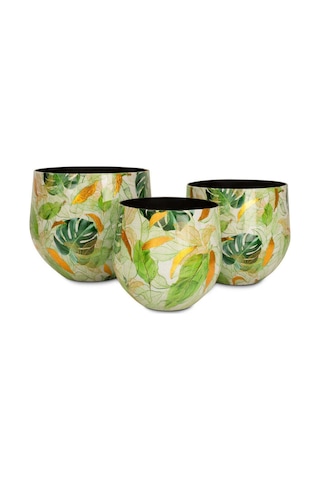 Lush Botanic S Saksı