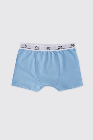 Panço Erkek Çocuk 3'lü Boxer Seti 2502bk14014 Renkli