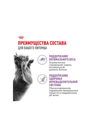 Royal Canin Sterilised Sterilised Katlar İçin Jöleli Yaş Kedi Maması 85 Gr 10'lu 238661140