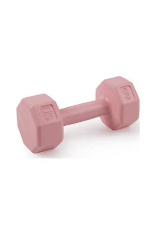 Psspor 2 Adet 1kg Pembe Renk Dambıl Seti 2 Adet 1kg Gönderim Yapılmaktadır